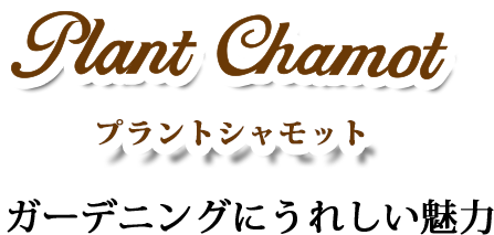 プラントシャルモット、ガーデニングうれしい魅力